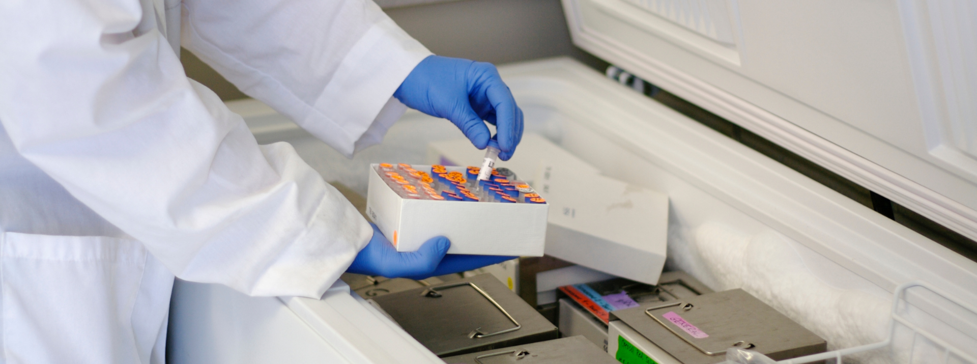 Pharmaceutical and Healthcare